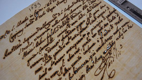 Schadbild Tintenfrass