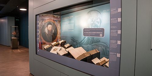 Im Schatten Felix Platters