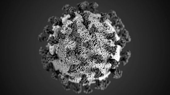 Schaubild Coronavirus. Foto: pxhere.com