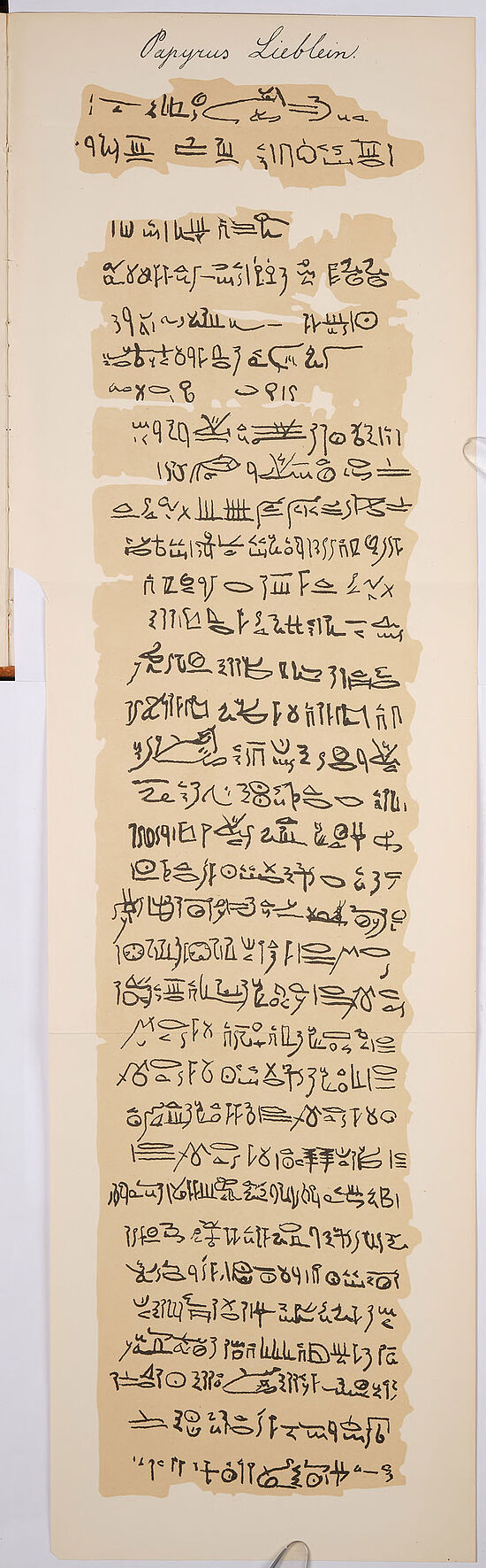 Jens Lieblein: Facsimile des “Papyrus Lieblein”