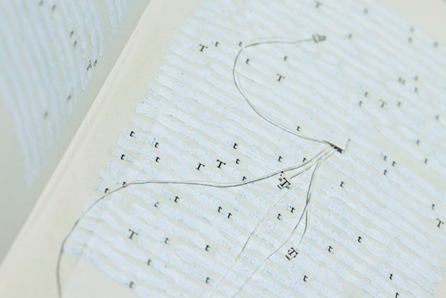 Foto eines Künstlerbuches