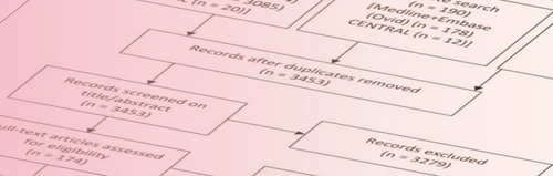 [Translate to English:] Systematic Review