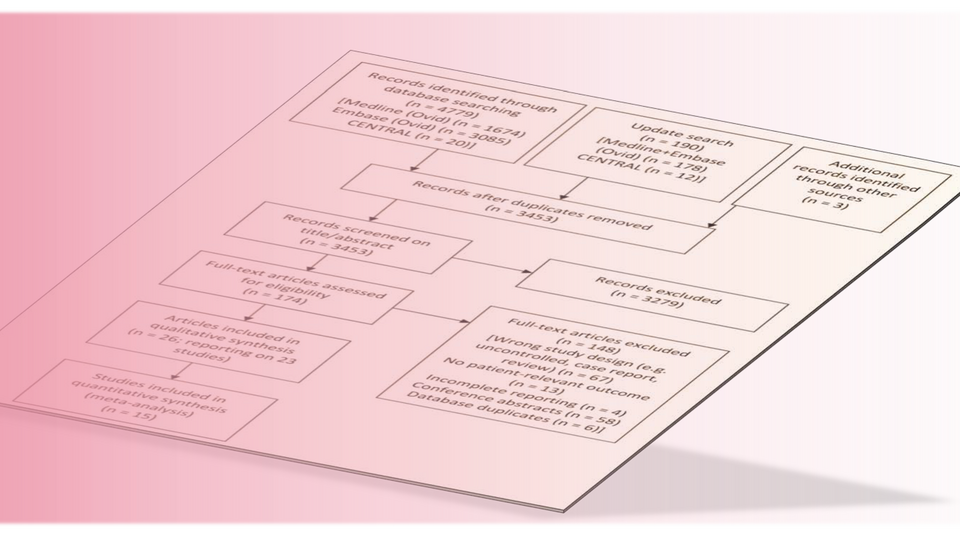 [Translate to English:] Systematic Reviews