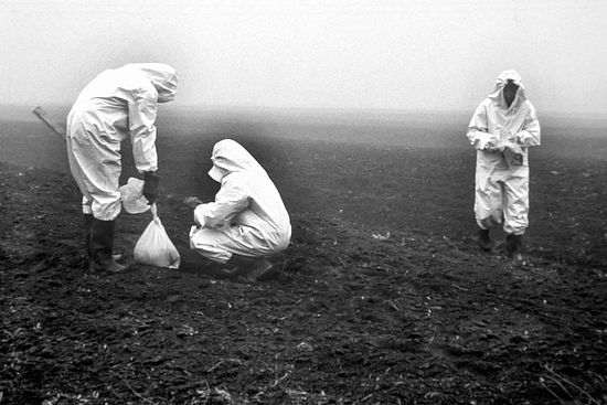 Chemieunfall in Seveso. Foto: © Keystone.