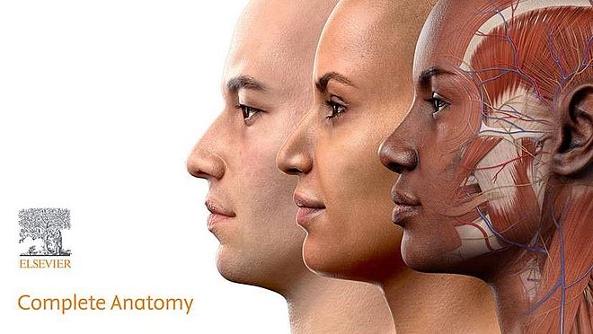 complete anatomy