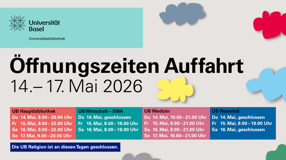 Flyer Auffahrt