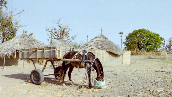 Reisefoto von Egon Thurnherr
