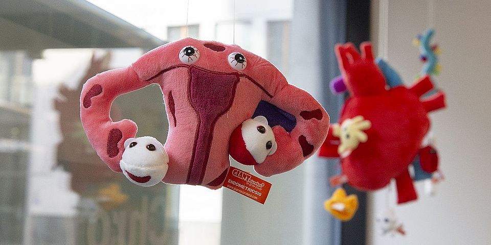 UBM Schaufenster