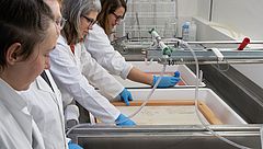 Einzelblattbehandlung im InkLab