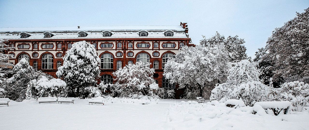 UB im Schnee