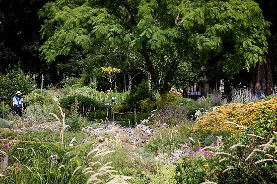BILD_Bot.Garten