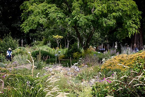 Quelle der Inspiration und Ort für Erholung: Der Botanische Garten der Universität.