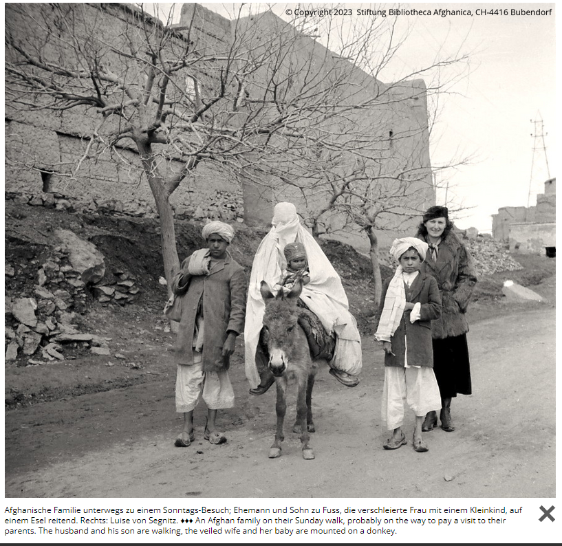 Afghanistan_Sonntagsbesuch_Esel